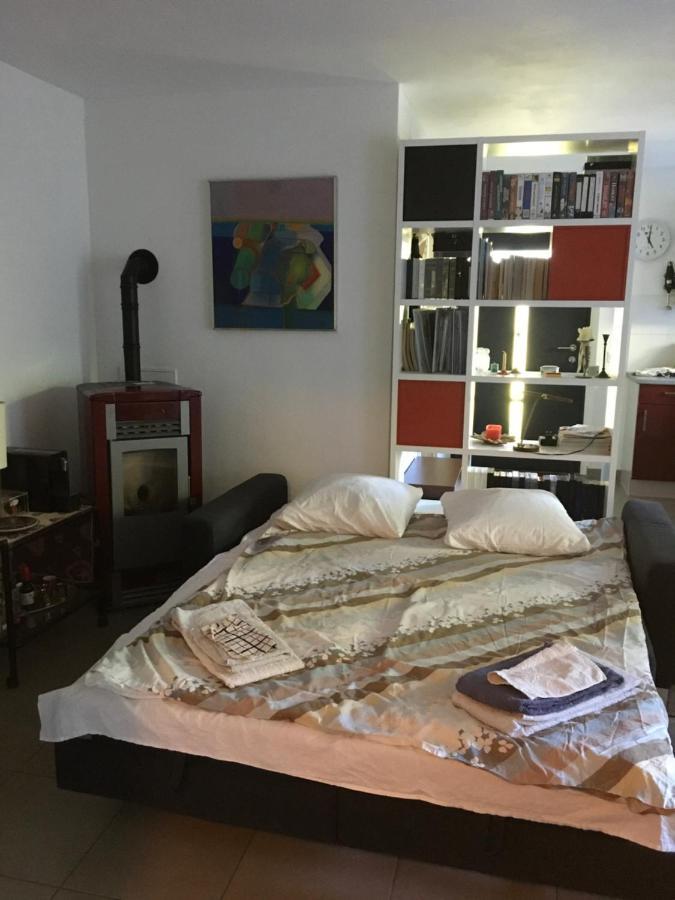 Appartement Casa In Koenigs Garten à Intragna Extérieur photo
